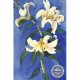 WATERMARK GREETING CARD LILIUM